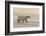 Polar Bears Near Kaktovic, Alaska-Howie Garber-Framed Photographic Print