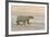 Polar Bears Near Kaktovic, Alaska-Howie Garber-Framed Photographic Print