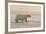 Polar Bears Near Kaktovic, Alaska-Howie Garber-Framed Photographic Print