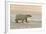 Polar Bears Near Kaktovic, Alaska-Howie Garber-Framed Photographic Print