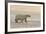 Polar Bears Near Kaktovic, Alaska-Howie Garber-Framed Photographic Print