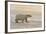 Polar Bears Near Kaktovic, Alaska-Howie Garber-Framed Photographic Print