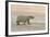 Polar Bears Near Kaktovic, Alaska-Howie Garber-Framed Photographic Print