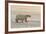 Polar Bears Near Kaktovic, Alaska-Howie Garber-Framed Photographic Print