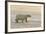 Polar Bears Near Kaktovic, Alaska-Howie Garber-Framed Photographic Print