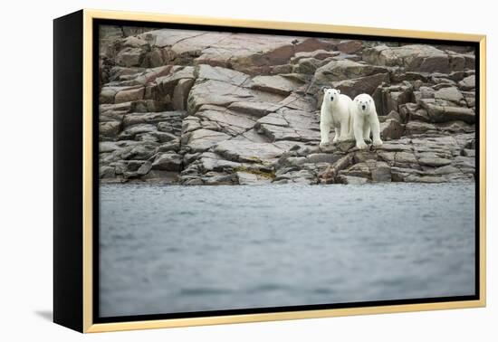 Polar Bears on Harbour Islands, Hudson Bay, Nunavut, Canada-Paul Souders-Framed Premier Image Canvas