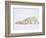 Polar Bears Playing-John Conrad-Framed Photographic Print