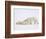 Polar Bears Playing-John Conrad-Framed Photographic Print