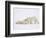 Polar Bears Playing-John Conrad-Framed Photographic Print