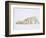 Polar Bears Playing-John Conrad-Framed Photographic Print