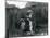 Polar Bears 'Sam' and 'Barbara' Stand on their Hind Legs Looking Out of their Enclosure at London Z-Frederick William Bond-Mounted Photographic Print