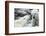 Polar Bears Sparring on Harbour Islands, Hudson Bay, Nunavut, Canada-Paul Souders-Framed Photographic Print