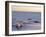 Polar Bears (Ursus Maritimus), Churchill, Hudson Bay, Manitoba, Canada-Thorsten Milse-Framed Photographic Print