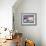 Polar Bears-Cathy Baxter-Framed Giclee Print displayed on a wall