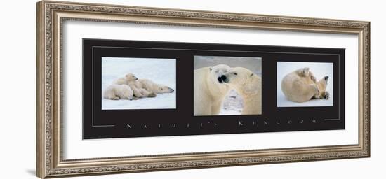 Polar Bears-unknown unknown-Framed Photo