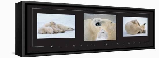 Polar Bears-unknown unknown-Framed Stretched Canvas