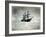 Polar Ship "America", Christmas Night, 1901-Science Source-Framed Giclee Print