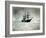 Polar Ship "America", Christmas Night, 1901-Science Source-Framed Giclee Print