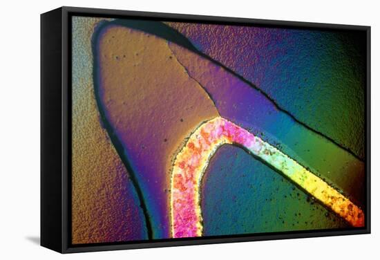 Polarised LM of a Cracked Ceramic Dental Crown-Volker Steger-Framed Premier Image Canvas