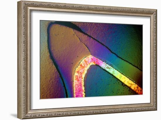 Polarised LM of a Cracked Ceramic Dental Crown-Volker Steger-Framed Photographic Print