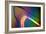 Polarised LM of a Cracked Ceramic Dental Crown-Volker Steger-Framed Photographic Print