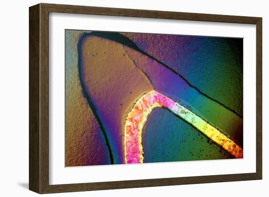 Polarised LM of a Cracked Ceramic Dental Crown-Volker Steger-Framed Photographic Print