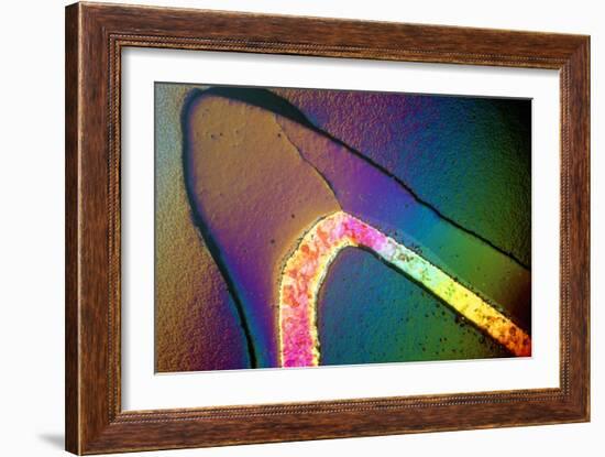 Polarised LM of a Cracked Ceramic Dental Crown-Volker Steger-Framed Photographic Print