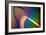 Polarised LM of a Cracked Ceramic Dental Crown-Volker Steger-Framed Photographic Print