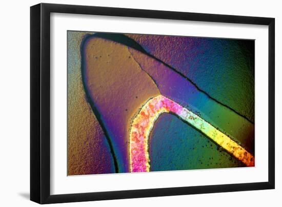 Polarised LM of a Cracked Ceramic Dental Crown-Volker Steger-Framed Photographic Print