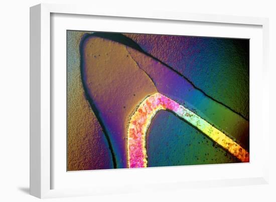 Polarised LM of a Cracked Ceramic Dental Crown-Volker Steger-Framed Photographic Print