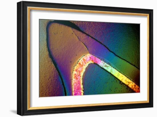 Polarised LM of a Cracked Ceramic Dental Crown-Volker Steger-Framed Photographic Print