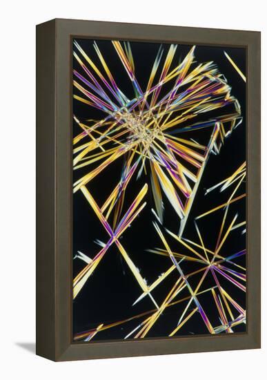 Polarised LM of Crystals of Caffeine-Sinclair Stammers-Framed Premier Image Canvas