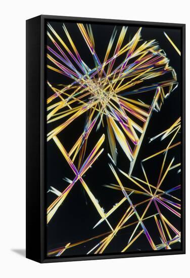 Polarised LM of Crystals of Caffeine-Sinclair Stammers-Framed Premier Image Canvas