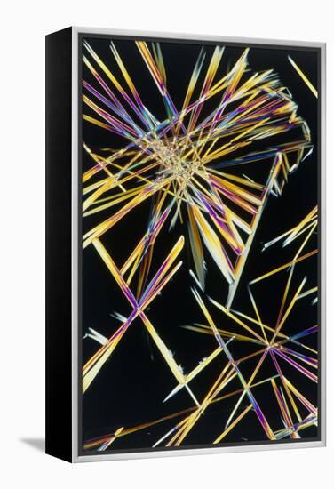 Polarised LM of Crystals of Caffeine-Sinclair Stammers-Framed Premier Image Canvas