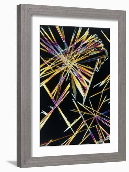 Polarised LM of Crystals of Caffeine-Sinclair Stammers-Framed Photographic Print