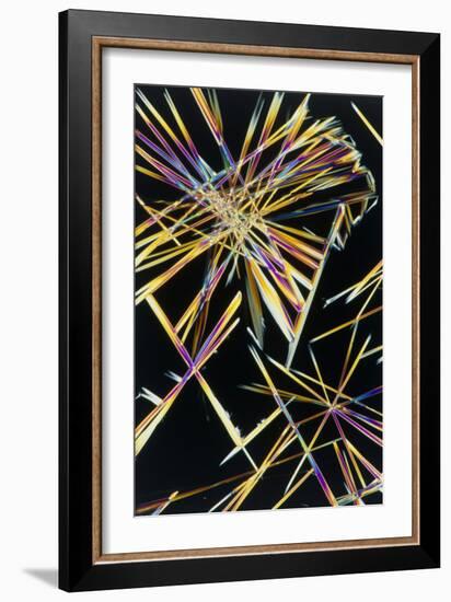 Polarised LM of Crystals of Caffeine-Sinclair Stammers-Framed Photographic Print