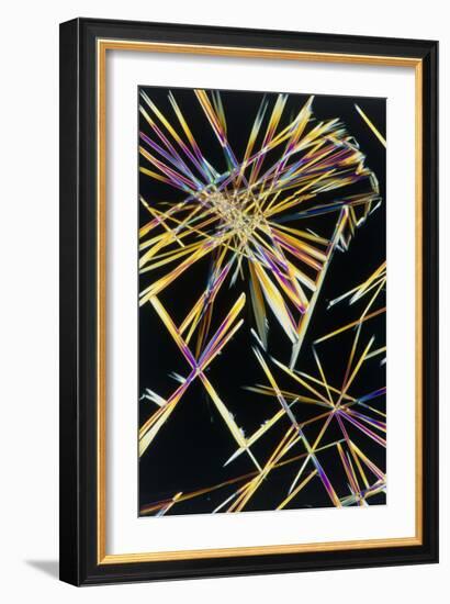 Polarised LM of Crystals of Caffeine-Sinclair Stammers-Framed Photographic Print