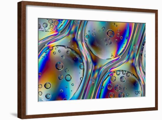 Polarized Stress Patterns in Row of Plastic Spoons with Carbonated Liquids from Above-Yon Marsh-Framed Photographic Print