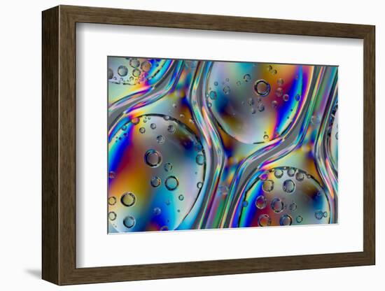 Polarized Stress Patterns in Row of Plastic Spoons with Carbonated Liquids from Above-Yon Marsh-Framed Photographic Print