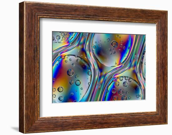 Polarized Stress Patterns in Row of Plastic Spoons with Carbonated Liquids from Above-Yon Marsh-Framed Photographic Print