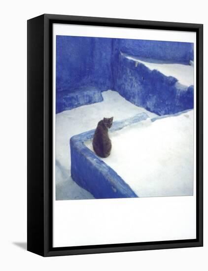 Polaroid of a Cat Sitting on Whitewashed Path, Chefchaouen, Morocco, North Africa, Africa-Lee Frost-Framed Premier Image Canvas