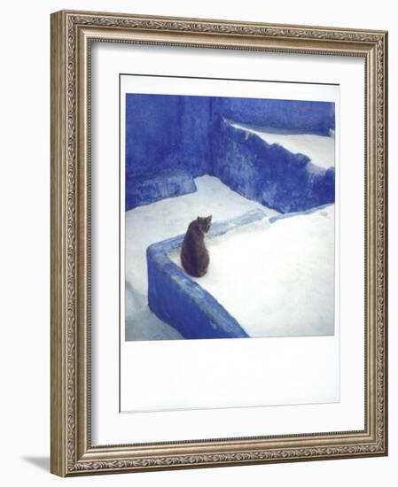 Polaroid of a Cat Sitting on Whitewashed Path, Chefchaouen, Morocco, North Africa, Africa-Lee Frost-Framed Photographic Print