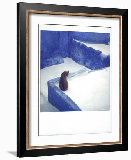 Polaroid of a Cat Sitting on Whitewashed Path, Chefchaouen, Morocco, North Africa, Africa-Lee Frost-Framed Photographic Print