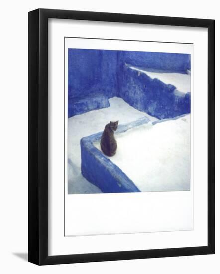 Polaroid of a Cat Sitting on Whitewashed Path, Chefchaouen, Morocco, North Africa, Africa-Lee Frost-Framed Photographic Print