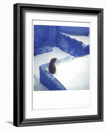 Polaroid of a Cat Sitting on Whitewashed Path, Chefchaouen, Morocco, North Africa, Africa-Lee Frost-Framed Photographic Print