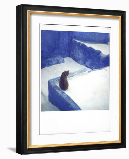 Polaroid of a Cat Sitting on Whitewashed Path, Chefchaouen, Morocco, North Africa, Africa-Lee Frost-Framed Photographic Print
