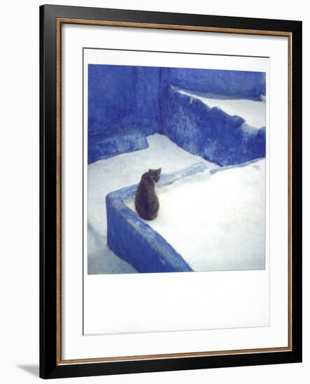 Polaroid of a Cat Sitting on Whitewashed Path, Chefchaouen, Morocco, North Africa, Africa-Lee Frost-Framed Photographic Print