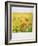 Polaroid of Field of Poppies and Yellow Wild Flowers, Near Fez, Morocco, North Africa, Africa-Lee Frost-Framed Photographic Print