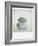 Polaroid of Three Sea-Worn Pebbles Piled Up Against a White Background-Lee Frost-Framed Photographic Print