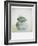 Polaroid of Three Sea-Worn Pebbles Piled Up Against a White Background-Lee Frost-Framed Photographic Print